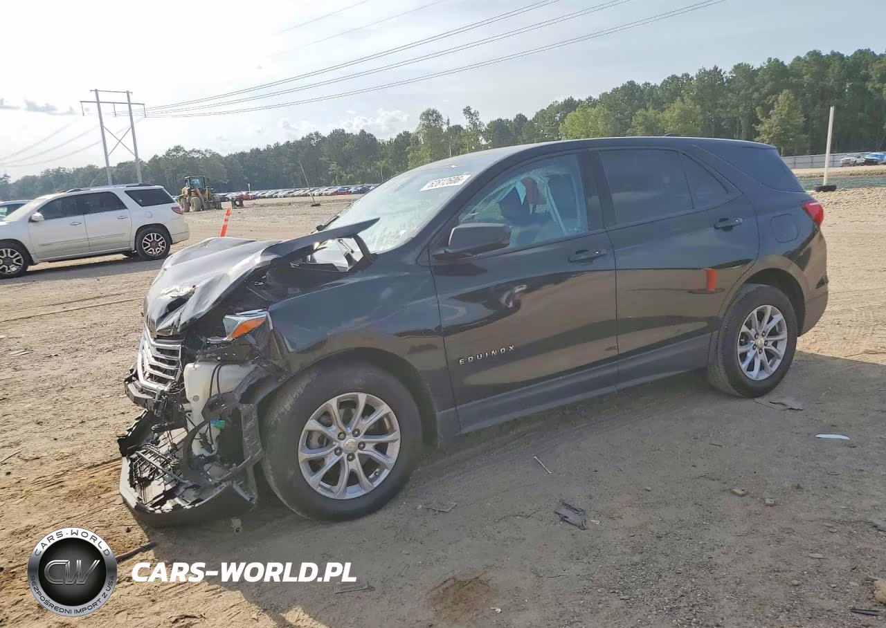 2019 Chevrolet Equinox Ls VIN:3GNAXHEV9KL369634 - 1