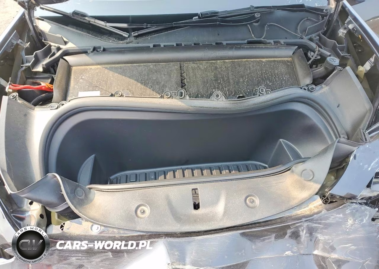 2024 Tesla Model Y VIN:7SAYGDEE2RF036655 - 12