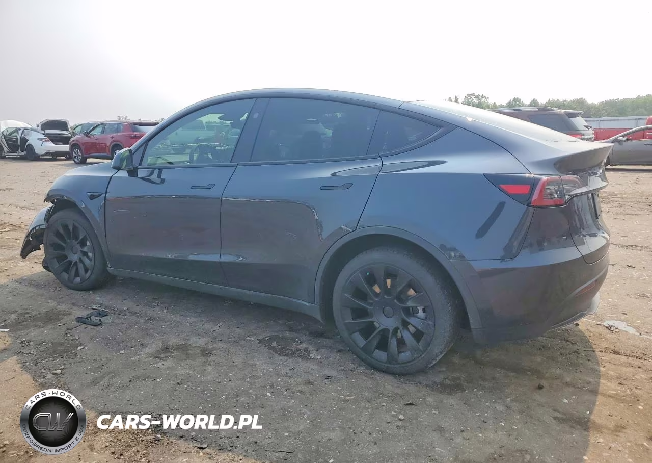 2024 Tesla Model Y VIN:7SAYGDEE2RF036655 - 2