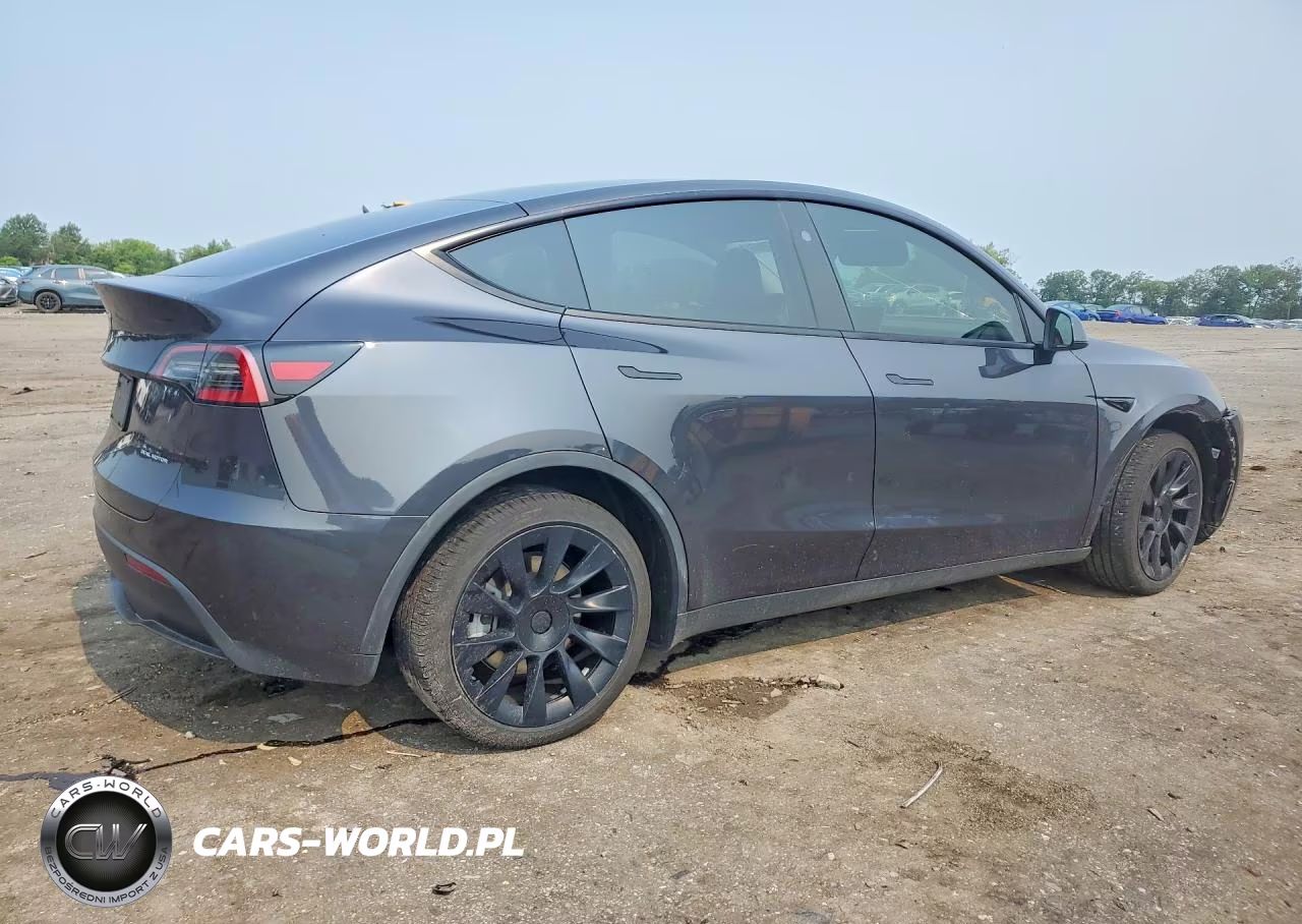 2024 Tesla Model Y VIN:7SAYGDEE2RF036655 - 3