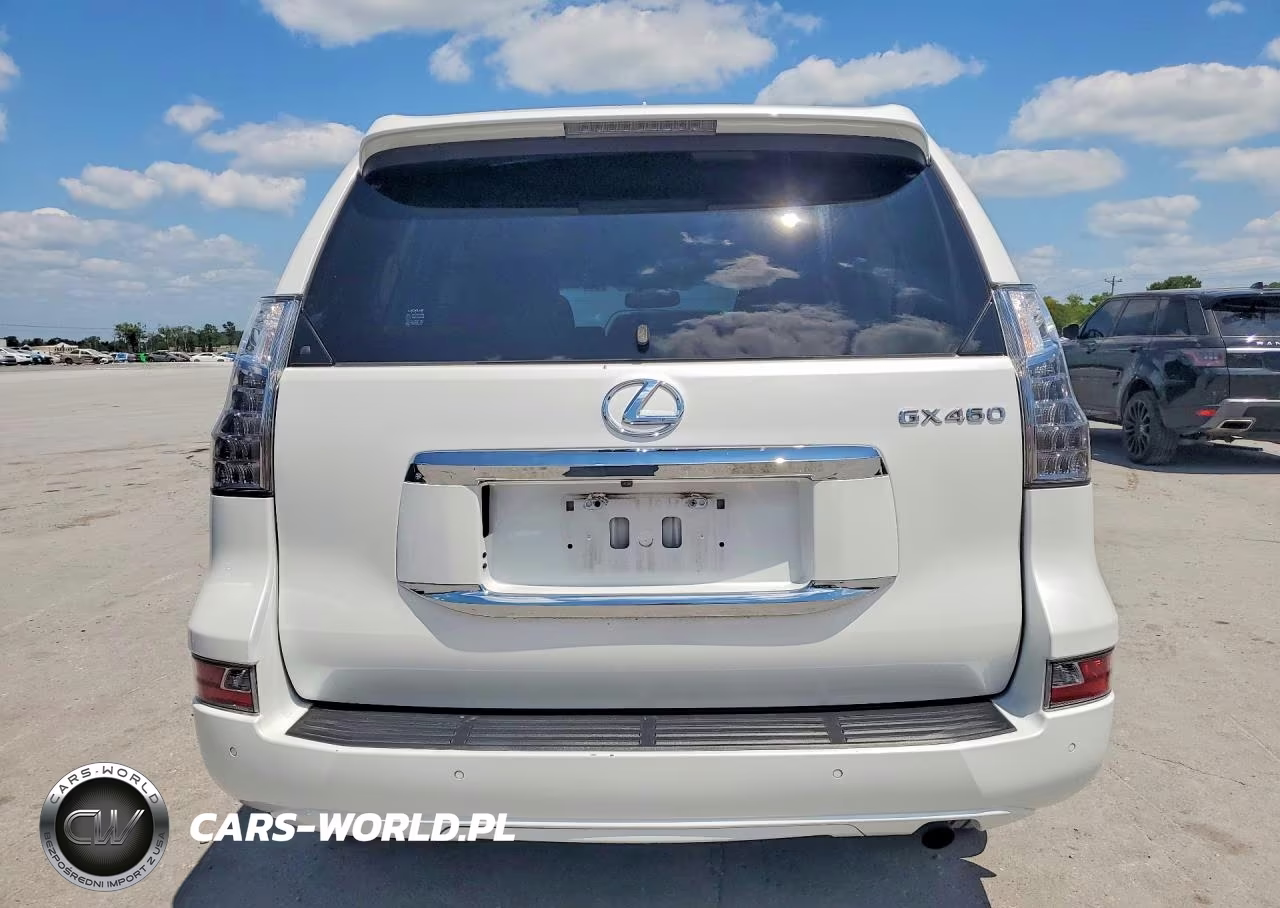 2019 Lexus Gx 460 VIN:JTJBM7FX7K5235573 - 6