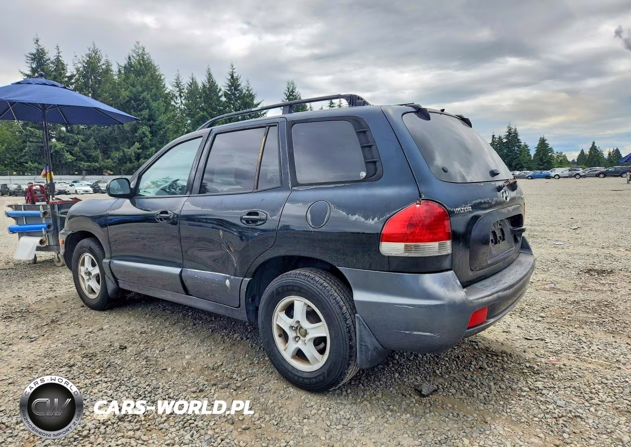 2005 Hyundai Santa Fe Gls VIN:KM8SC13D65U888592 - 2