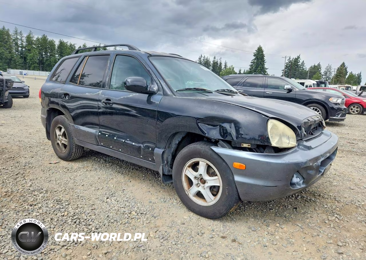 2005 Hyundai Santa Fe Gls VIN:KM8SC13D65U888592 - 4