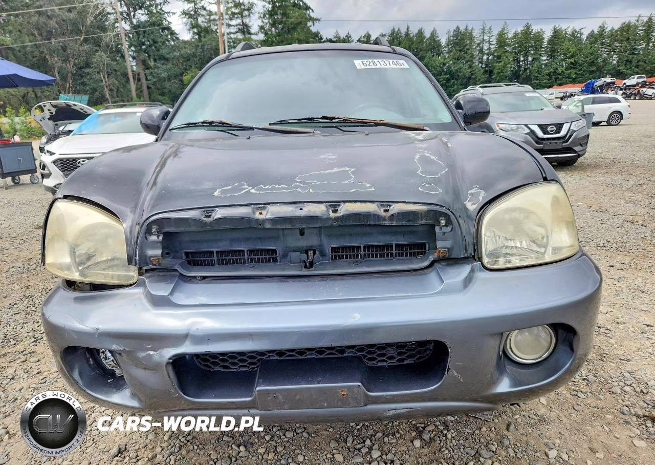 2005 Hyundai Santa Fe Gls VIN:KM8SC13D65U888592 - 5