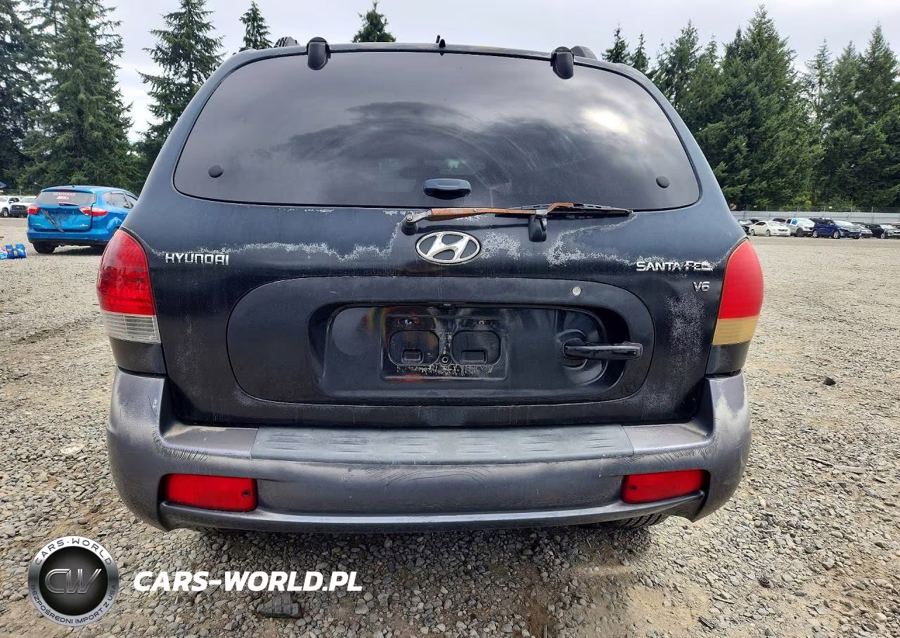 2005 Hyundai Santa Fe Gls VIN:KM8SC13D65U888592 - 6