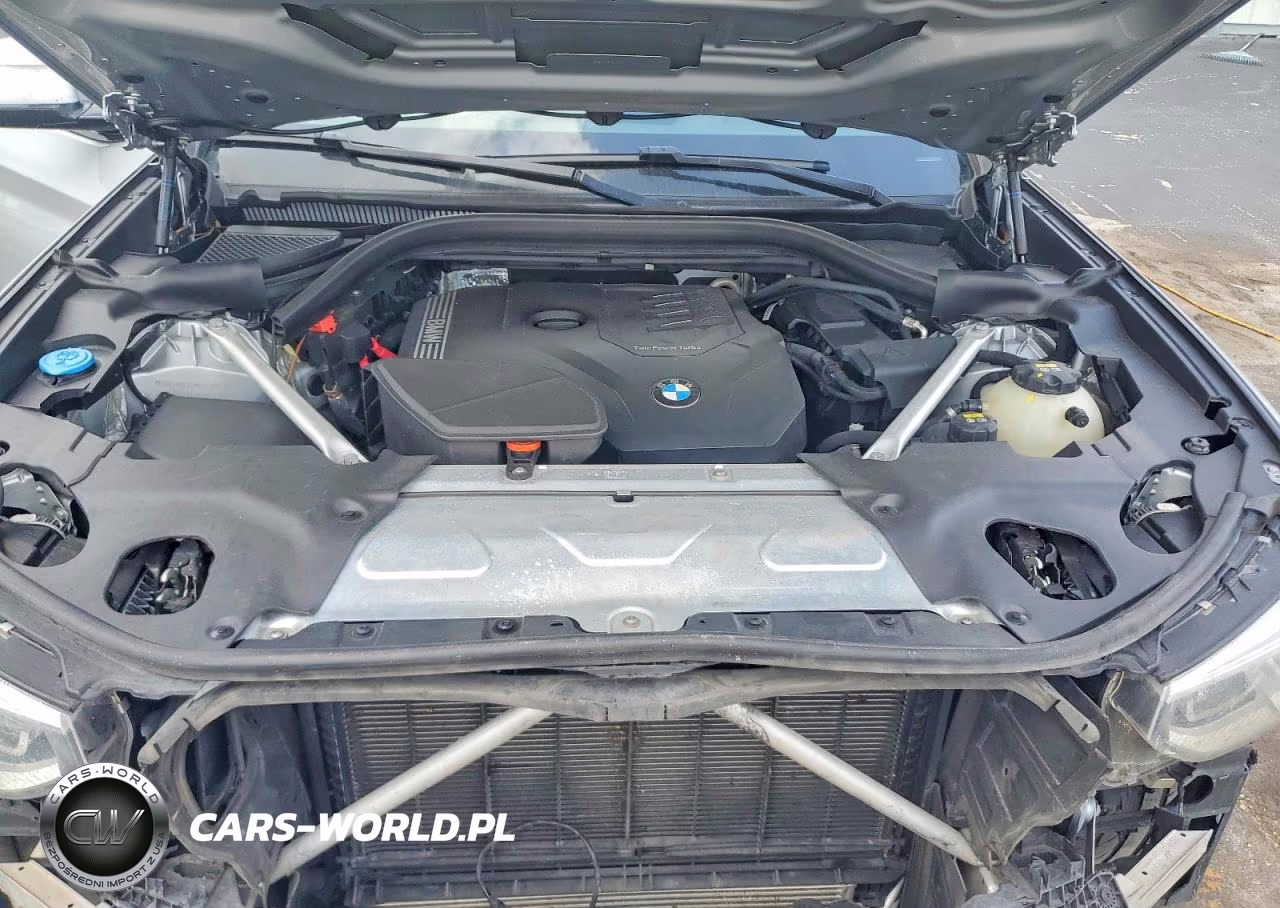 2021 BMW X3 Sdrive30I VIN:5UXTY3C02M9H43667 - 12