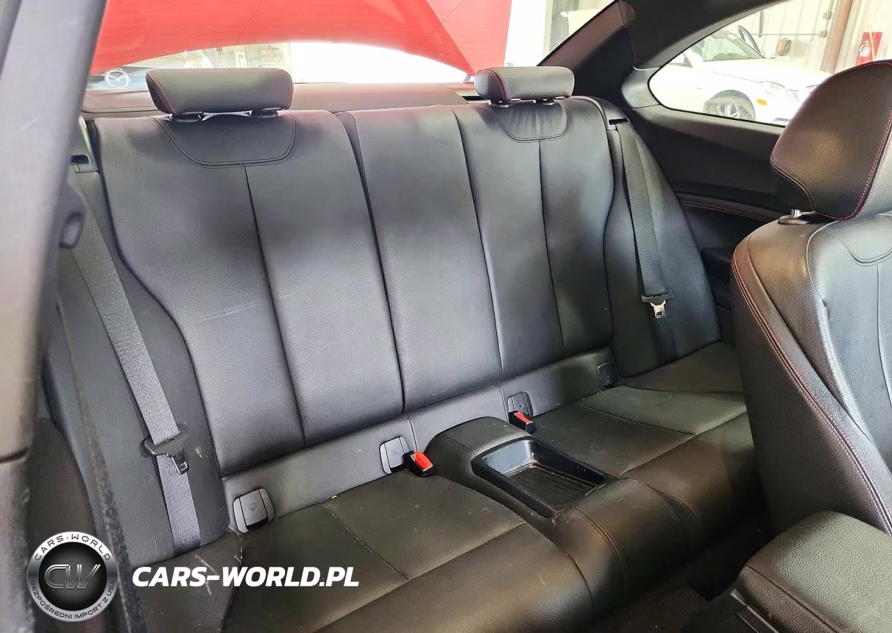 2015 BMW 228 Xi Sulev VIN:WBA1G9C5XFVX96552 - 10
