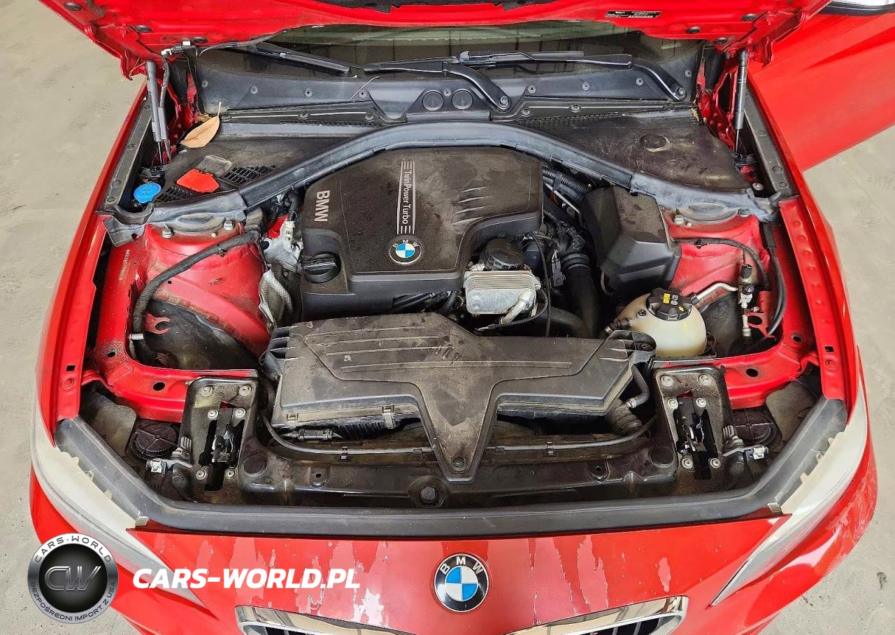 2015 BMW 228 Xi Sulev VIN:WBA1G9C5XFVX96552 - 11