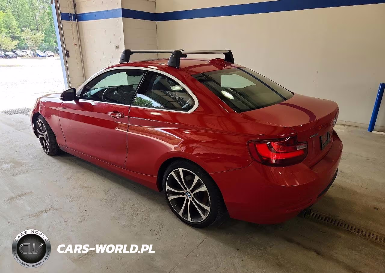 2015 BMW 228 Xi Sulev VIN:WBA1G9C5XFVX96552 - 2