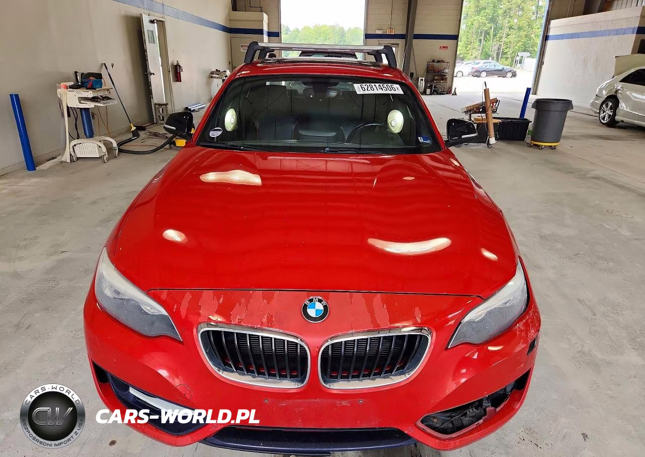 2015 BMW 228 Xi Sulev VIN:WBA1G9C5XFVX96552 - 5