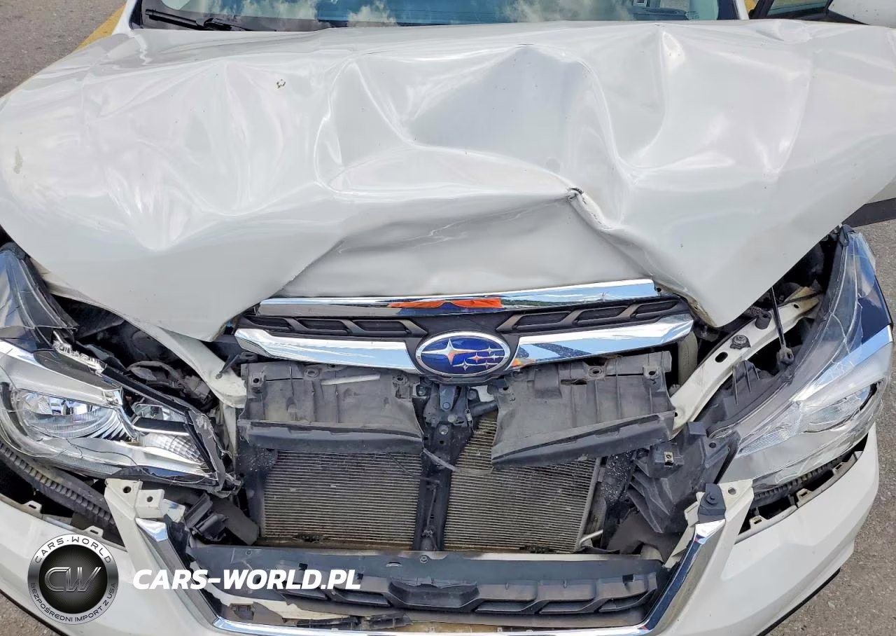 2017 Subaru Forester 2.5I Premium VIN:JF2SJAGC1HH516846 - 12