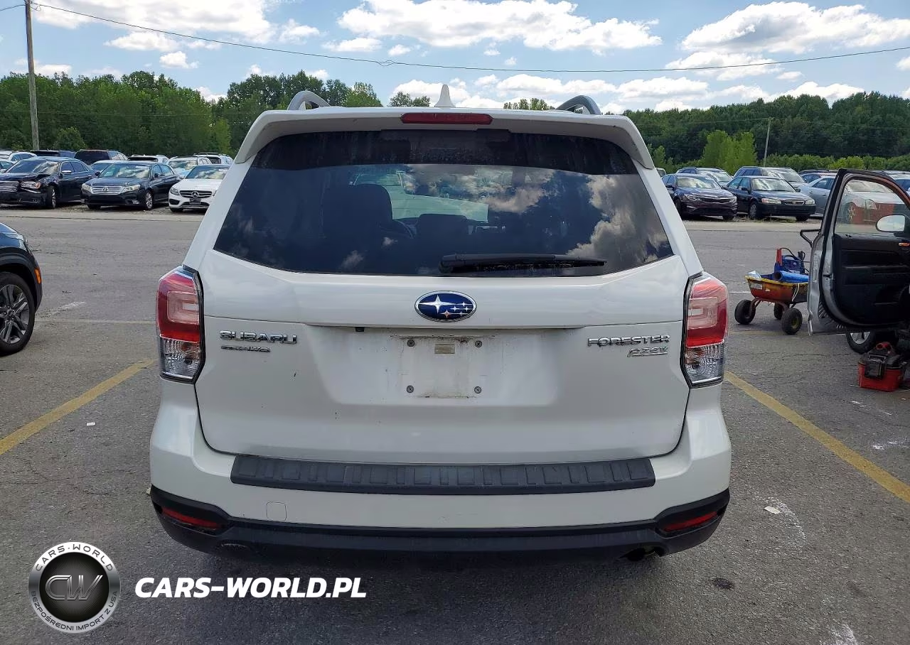 2017 Subaru Forester 2.5I Premium VIN:JF2SJAGC1HH516846 - 6