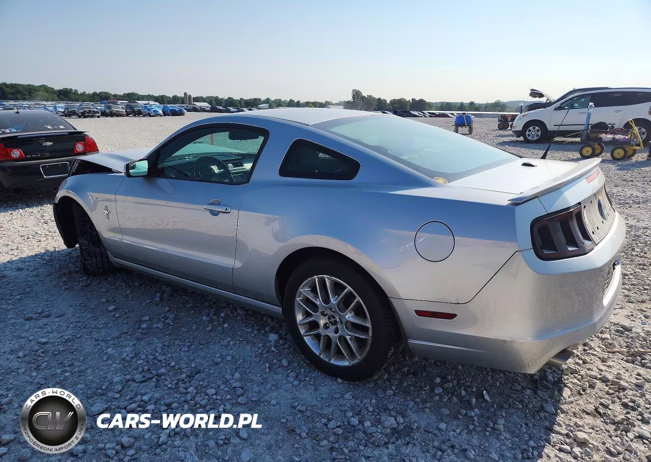 2013 Ford Mustang VIN:1ZVBP8AMXD5256527 - 2