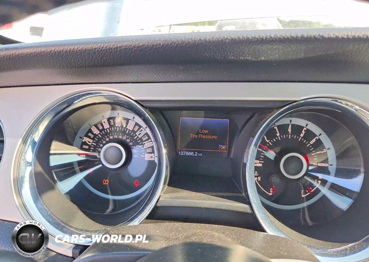 2013 Ford Mustang VIN:1ZVBP8AMXD5256527 - 9