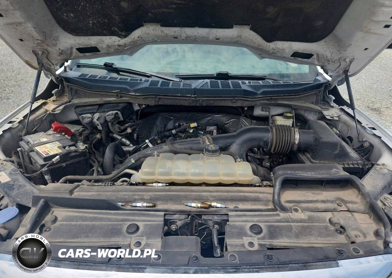 2021 Ford F150 Supercrew VIN:1FTEW1EP5MFB17947 - 11