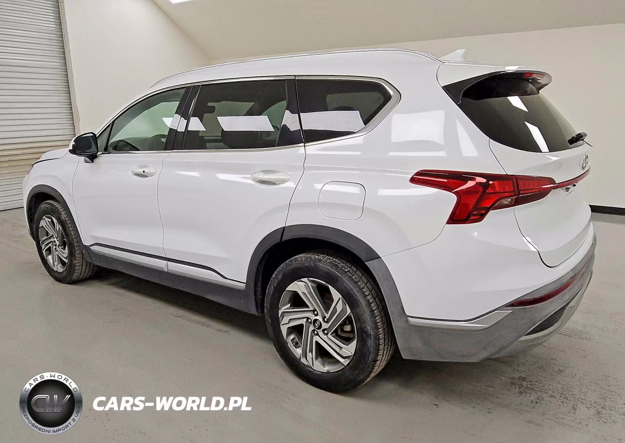 2021 Hyundai Santa Fe Sel VIN:5NMS24AJ4MH330957 - 2