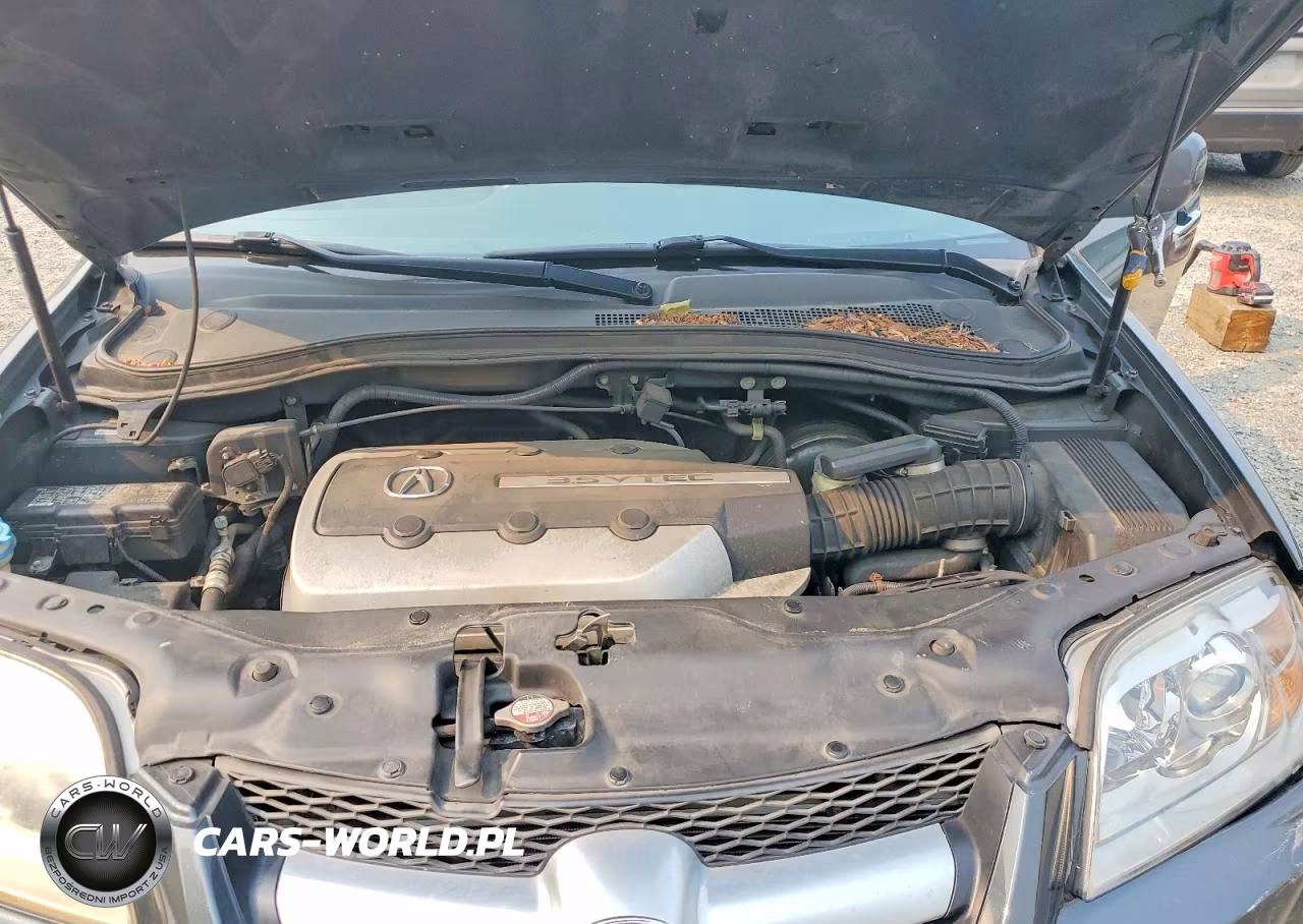 2006 Acura Mdx VIN:2HNYD18246H549914 - 12