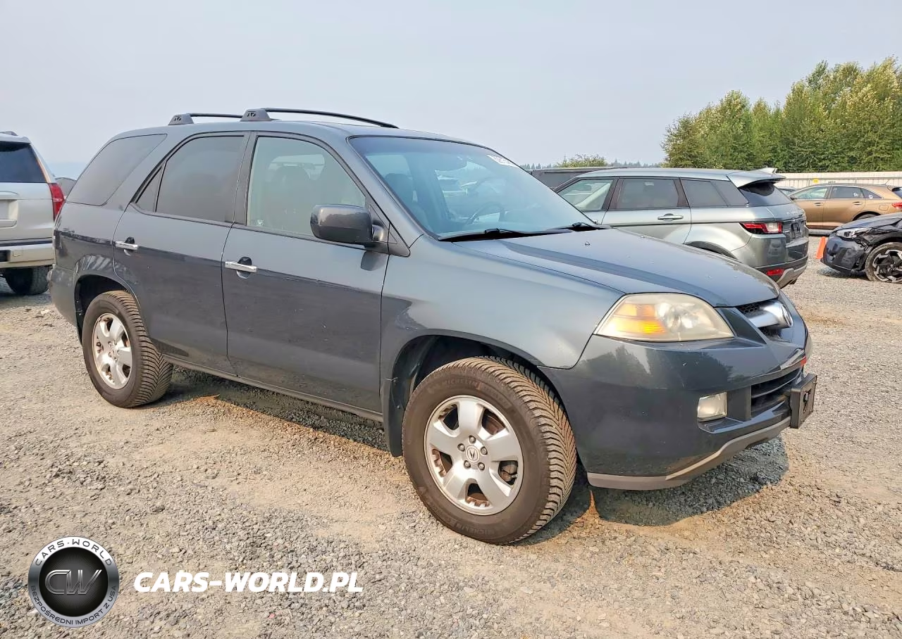 2006 Acura Mdx VIN:2HNYD18246H549914 - 4
