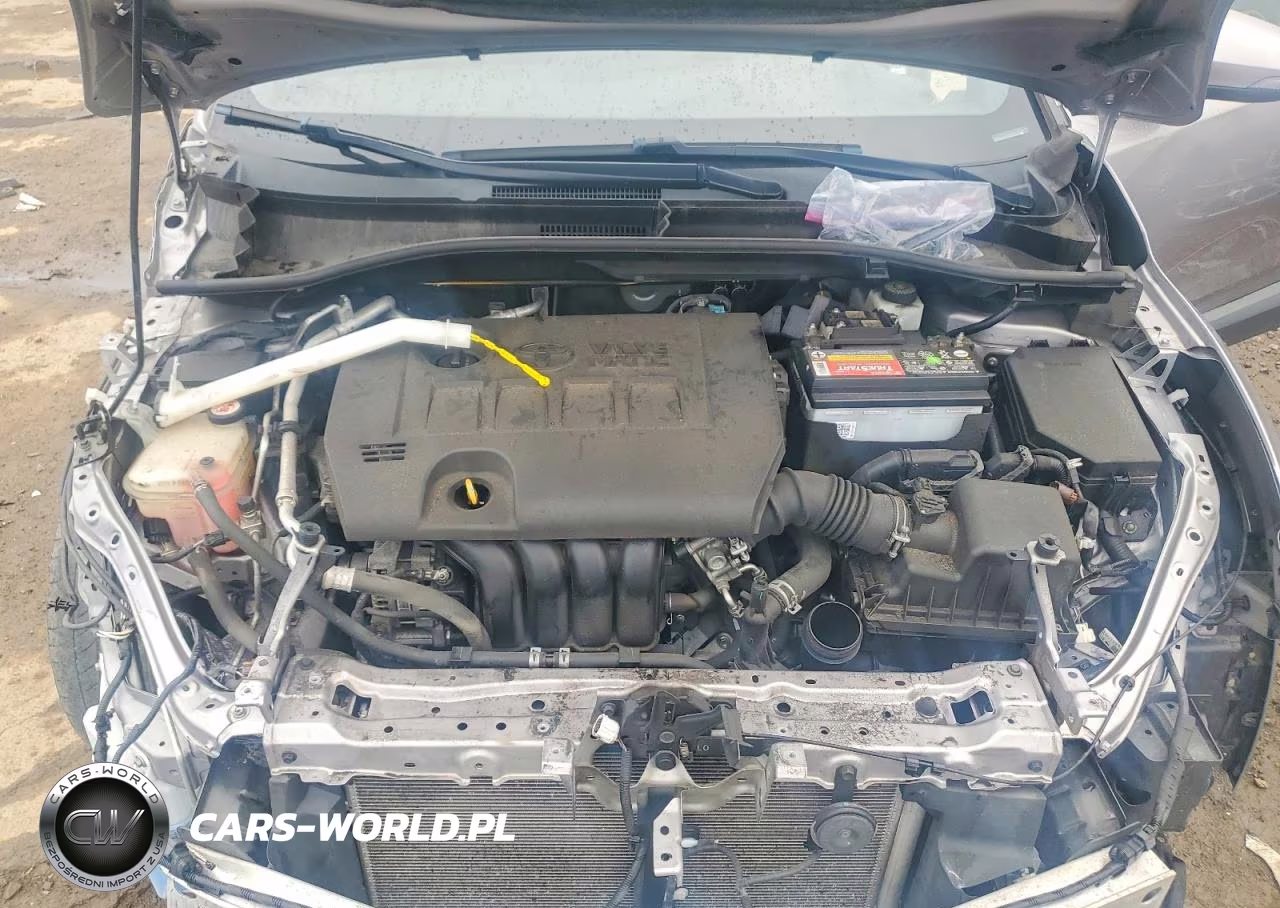 2019 Toyota C-Hr Xle VIN:JTNKHMBX9K1055705 - 12