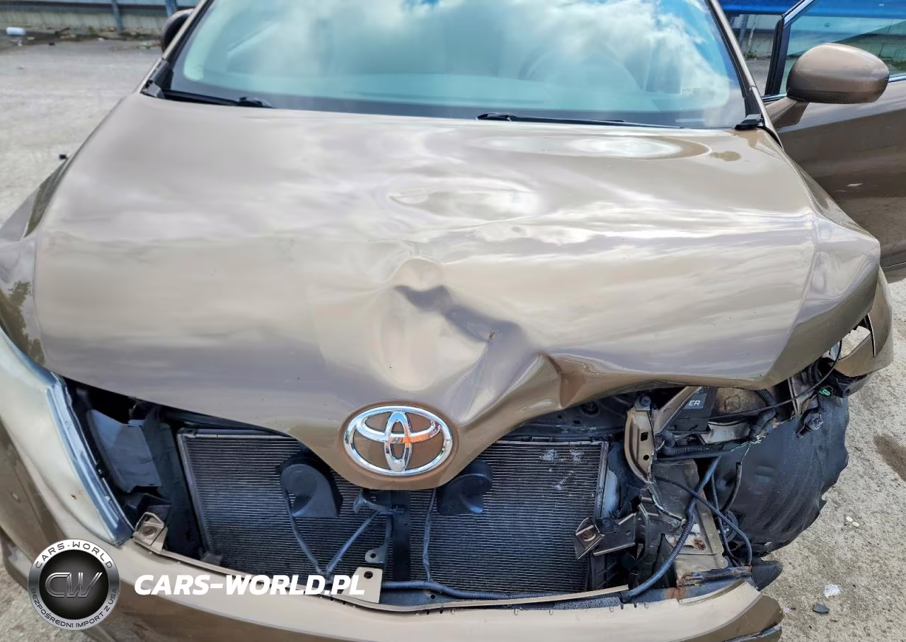2009 Toyota Venza Fwd 4Cyl VIN:4T3ZE11A69U004004 - 12