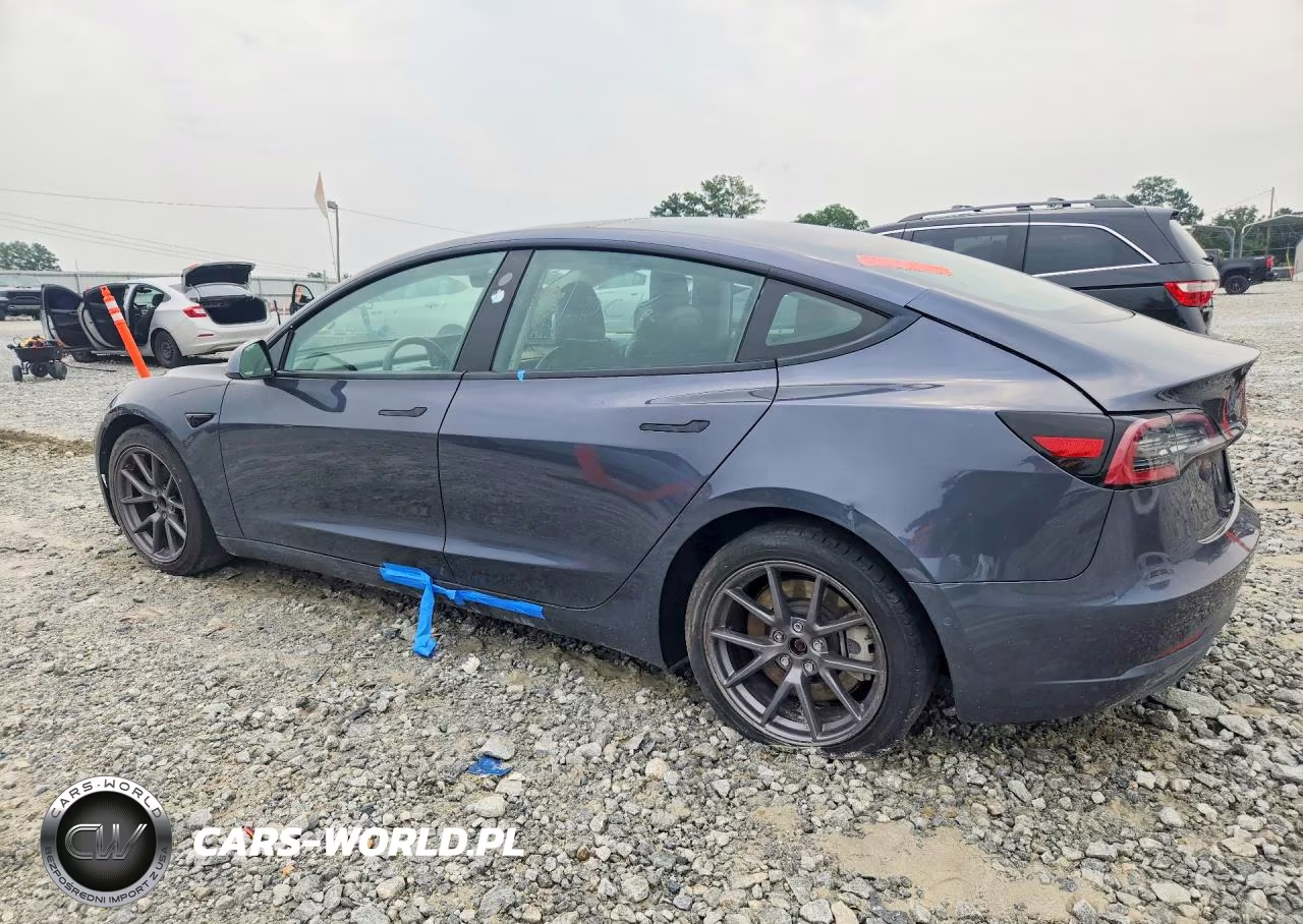 2021 Tesla Model 3 VIN:5YJ3E1EA0MF090019 - 2