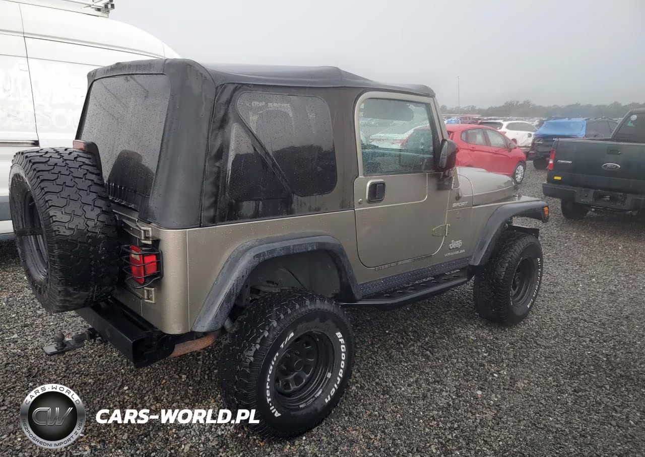 2003 Jeep Wrangler - Tj Sport VIN:1J4FA49S63P361743 - 3