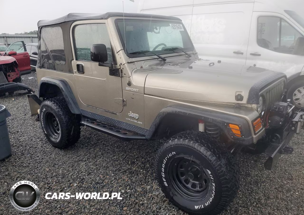 2003 Jeep Wrangler - Tj Sport VIN:1J4FA49S63P361743 - 4