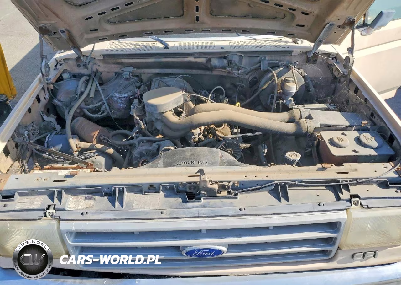 1991 Ford F150 VIN:1FTEF15N8MLA03456 - 11