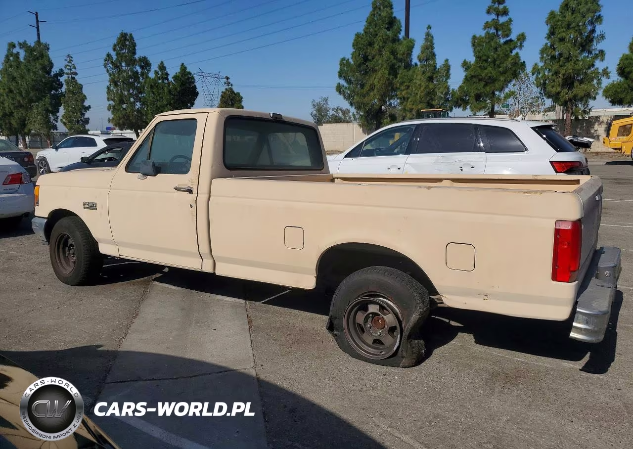 1991 Ford F150 VIN:1FTEF15N8MLA03456 - 2