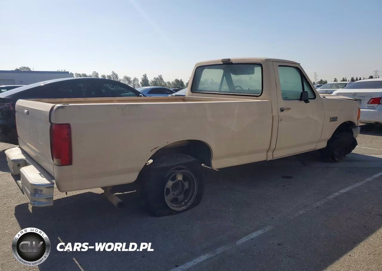 1991 Ford F150 VIN:1FTEF15N8MLA03456 - 3