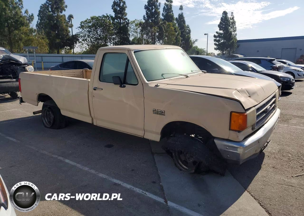 1991 Ford F150 VIN:1FTEF15N8MLA03456 - 4