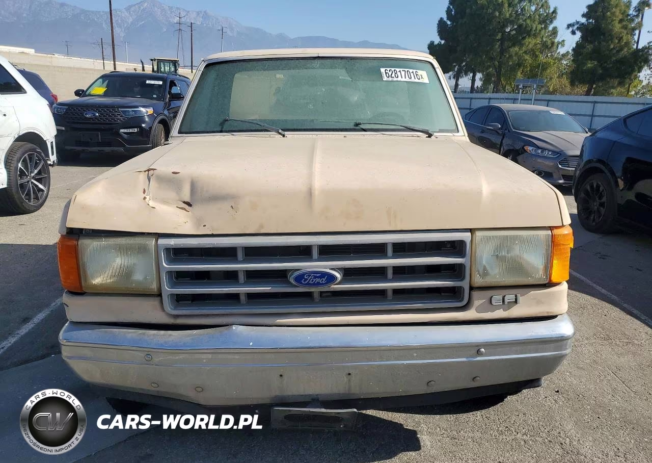 1991 Ford F150 VIN:1FTEF15N8MLA03456 - 5