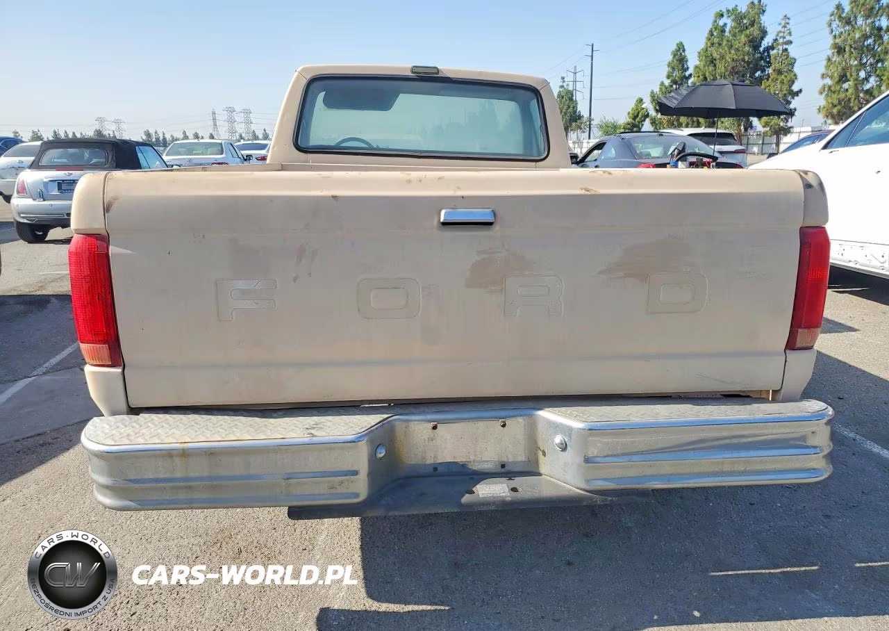 1991 Ford F150 VIN:1FTEF15N8MLA03456 - 6
