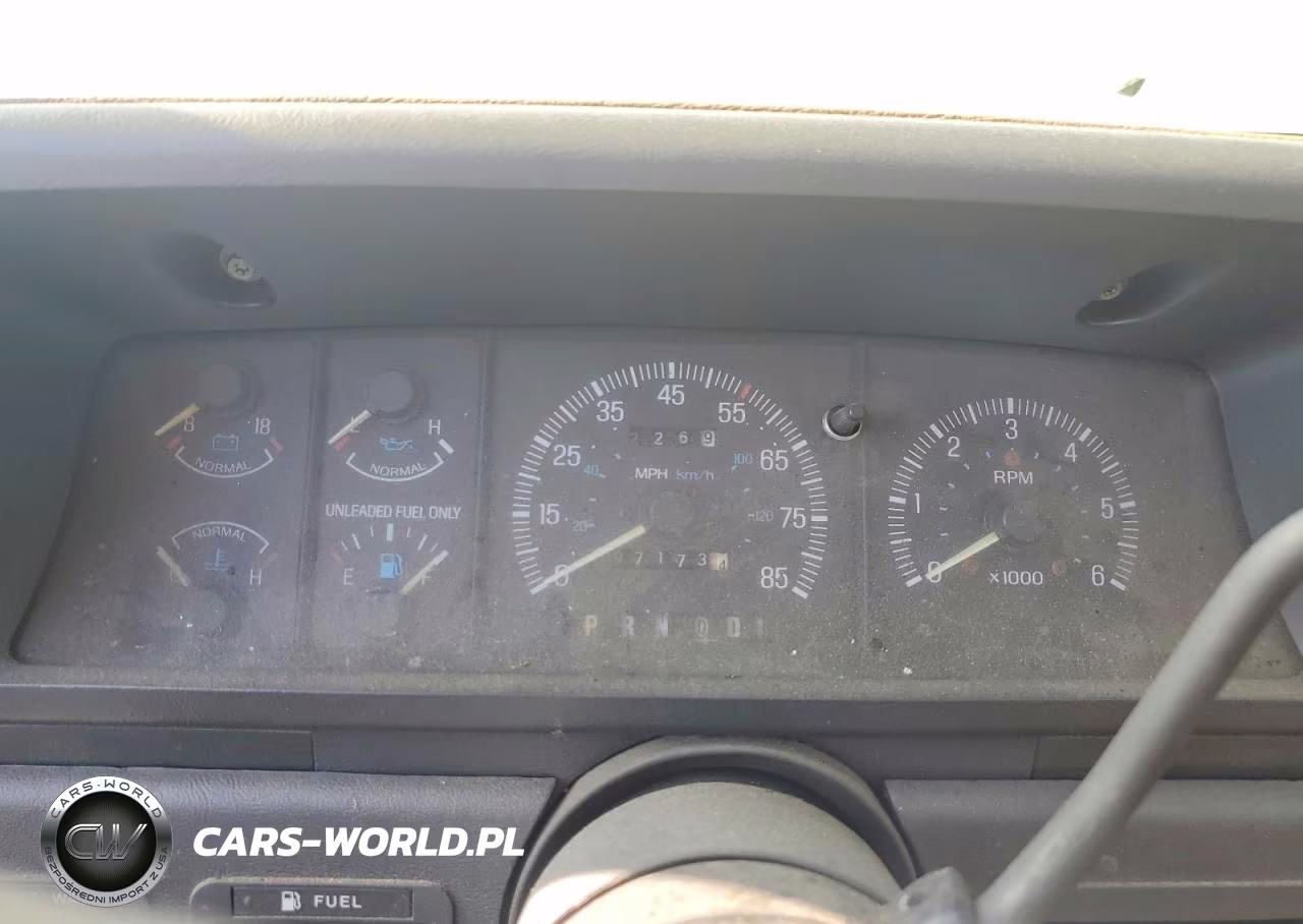 1991 Ford F150 VIN:1FTEF15N8MLA03456 - 9