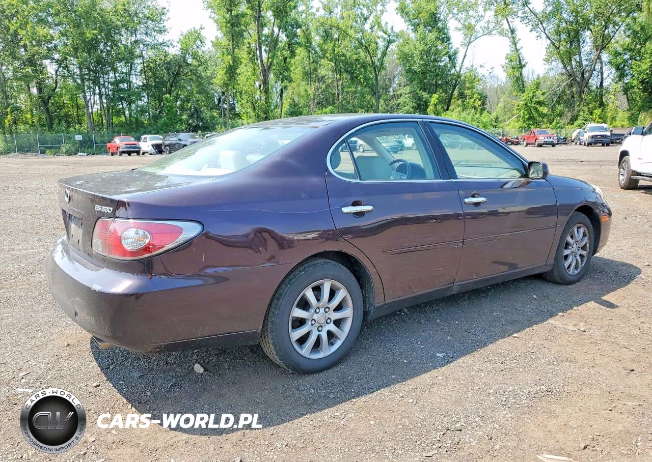 2004 Lexus Es 330 VIN:JTHBA30G445035779 - 3
