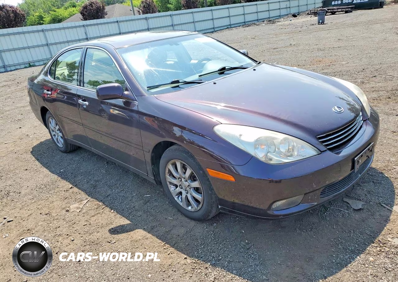 2004 Lexus Es 330 VIN:JTHBA30G445035779 - 4