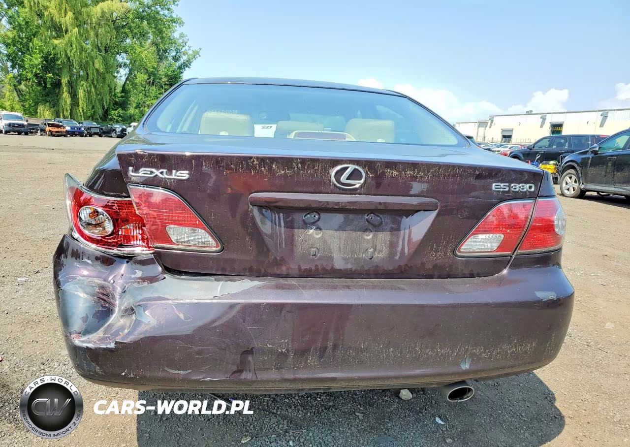 2004 Lexus Es 330 VIN:JTHBA30G445035779 - 6