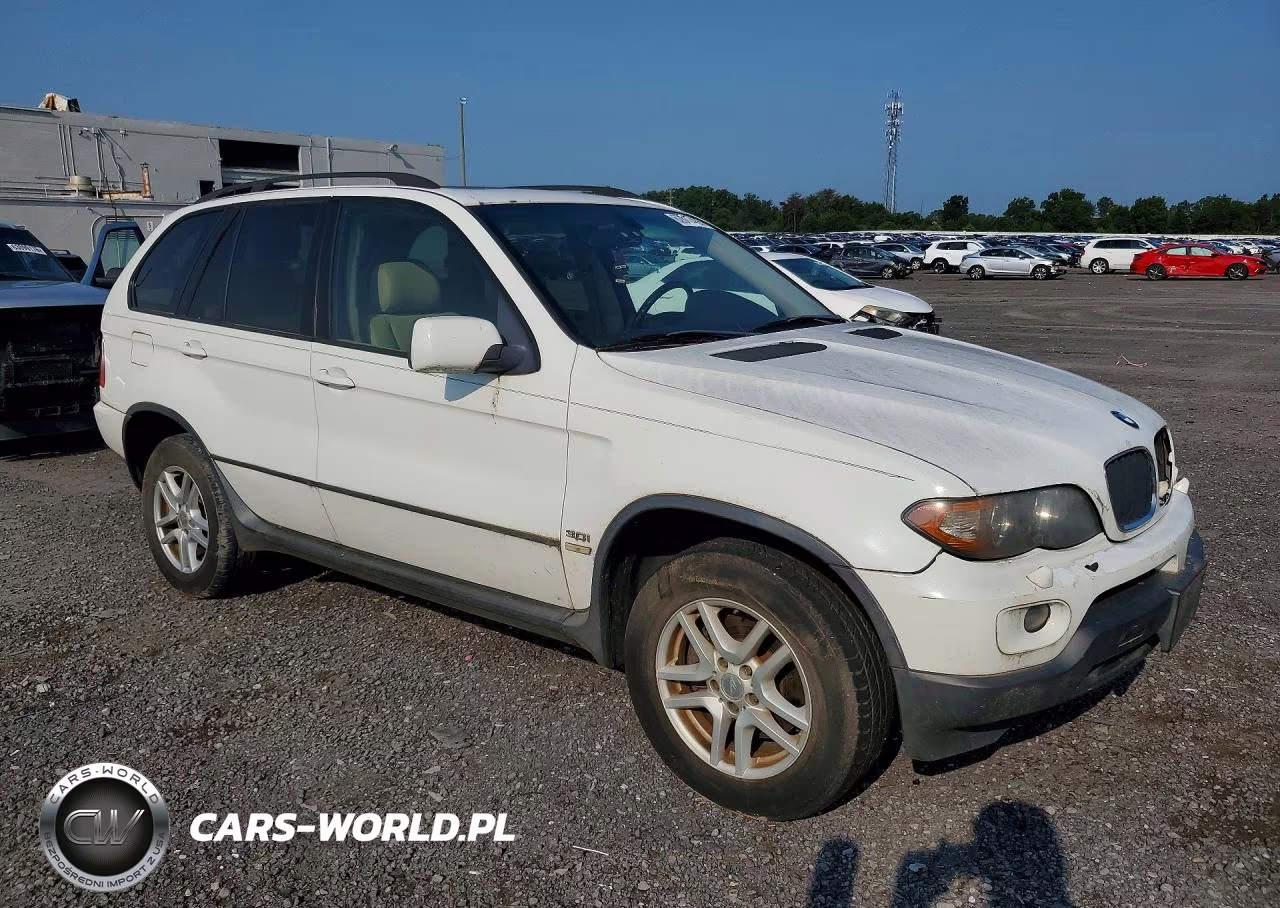 2006 BMW X5 3.0I VIN:5UXFA13576LY42537 - 4