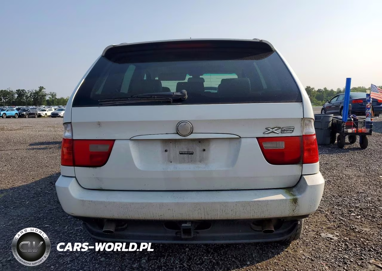2006 BMW X5 3.0I VIN:5UXFA13576LY42537 - 6