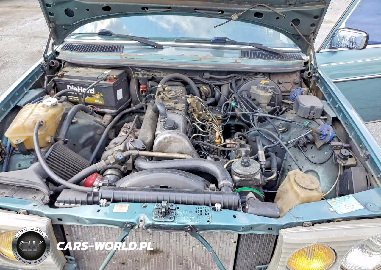 1985 Mercedes-Benz 300 Dt VIN:WDBAB33C0FA208189 - 11