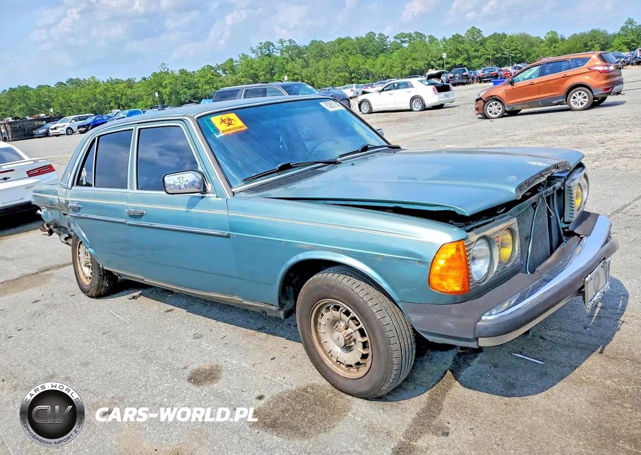 1985 Mercedes-Benz 300 Dt VIN:WDBAB33C0FA208189 - 4