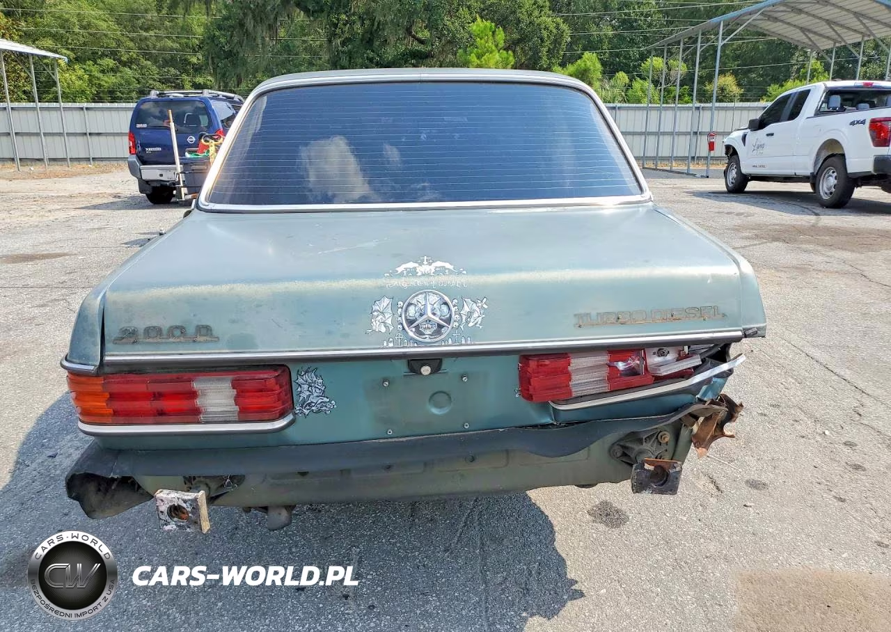 1985 Mercedes-Benz 300 Dt VIN:WDBAB33C0FA208189 - 6