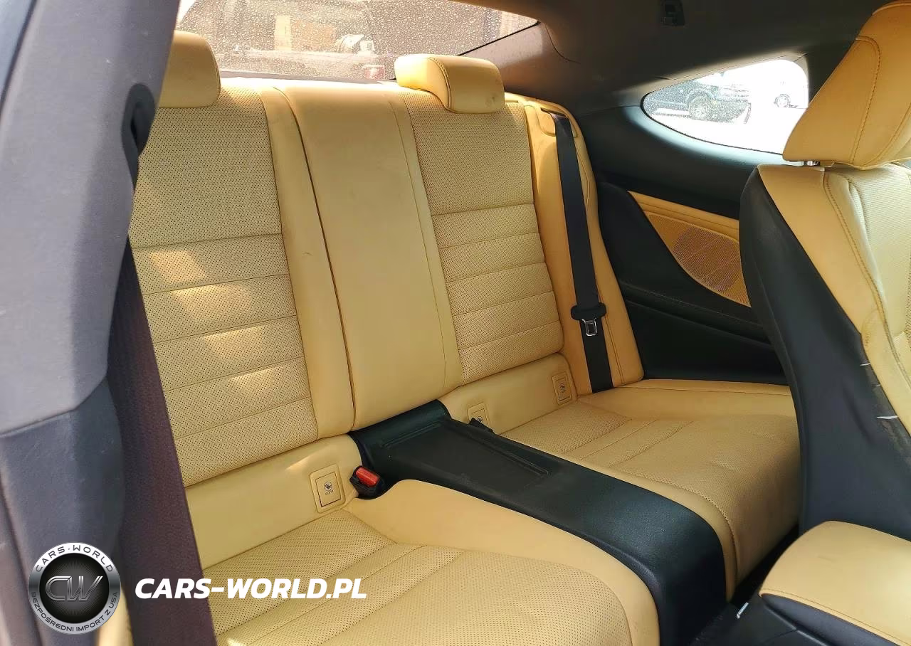 2016 Lexus Rc 200T VIN:JTHHA5BC0G5003805 - 10