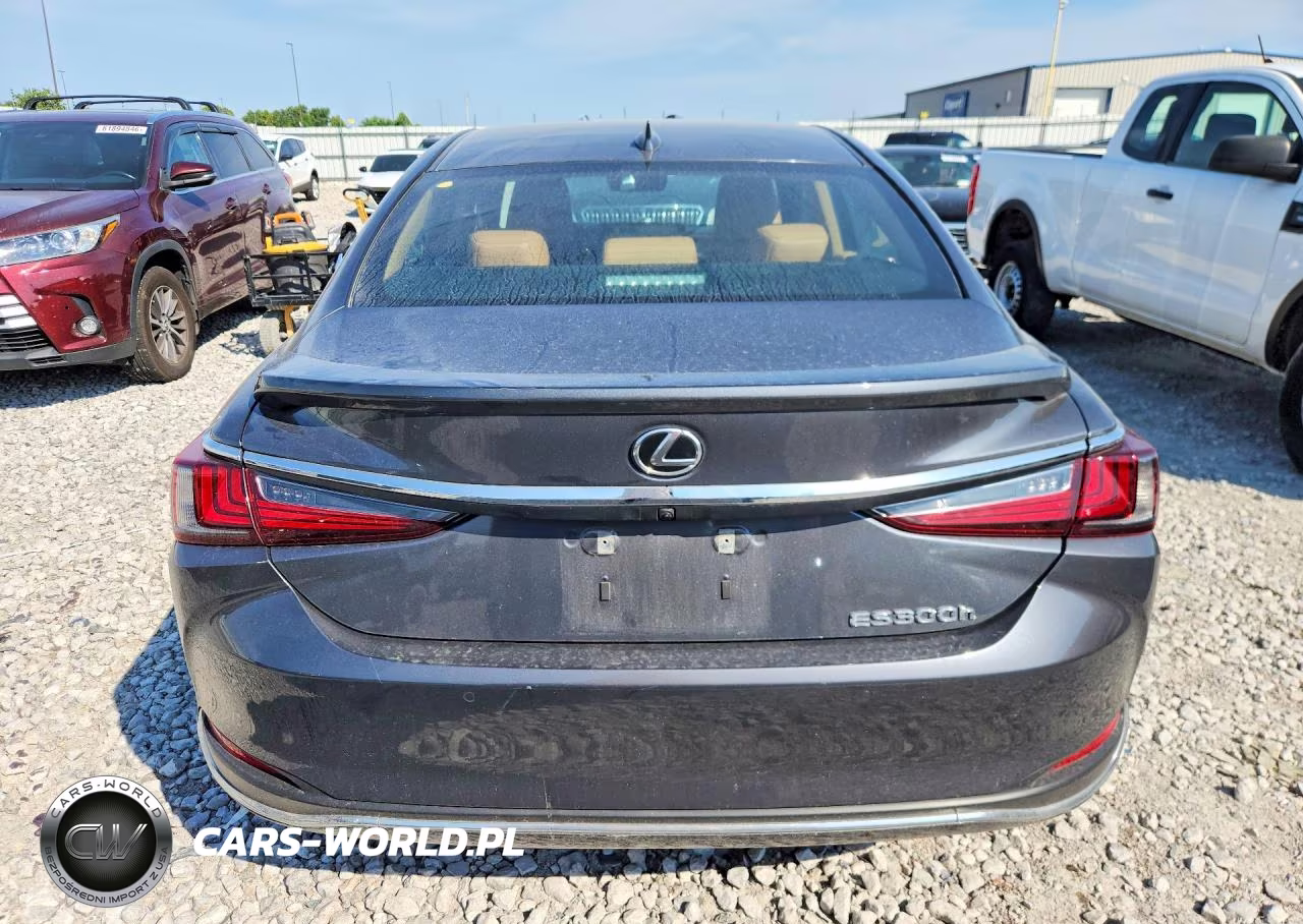 2024 Lexus Es 300H Base VIN:58ADA1C13RU047753 - 6