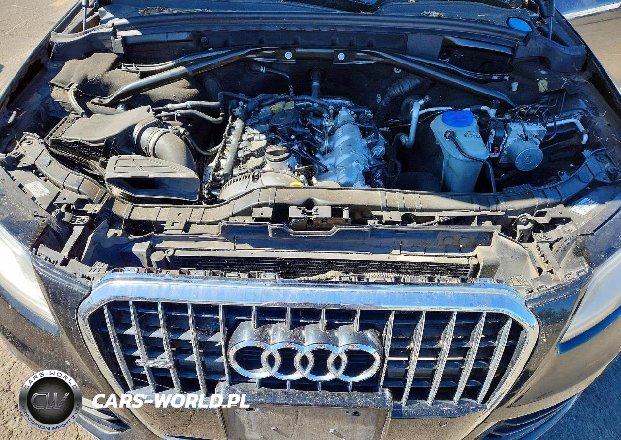 2013 Audi Q5 Premium Plus VIN:WA1LFAFP4DA020865 - 11