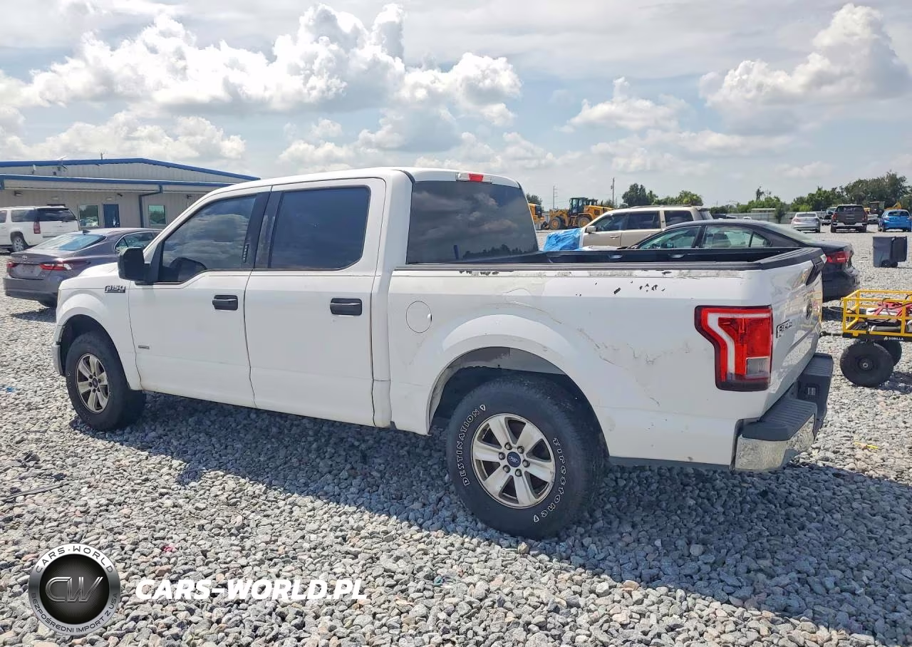 2015 Ford F150 Supercrew VIN:1FTEW1CP3FFA58564 - 2