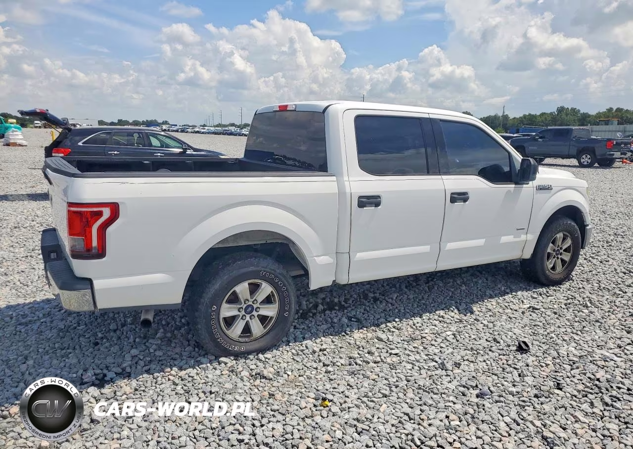 2015 Ford F150 Supercrew VIN:1FTEW1CP3FFA58564 - 3