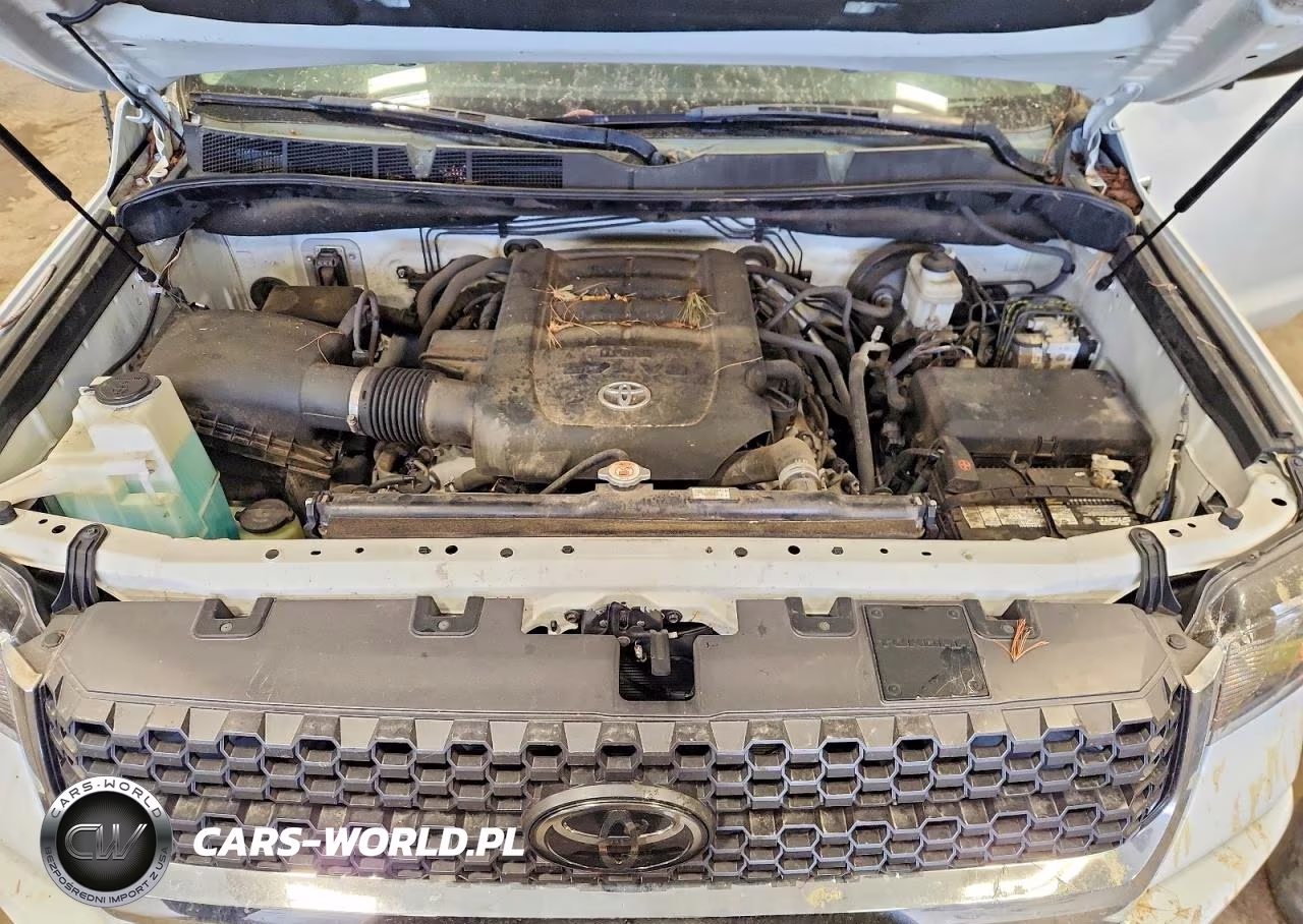 2019 Toyota Tundra Crewmax Sr5 VIN:5TFEY5F11KX253317 - 11
