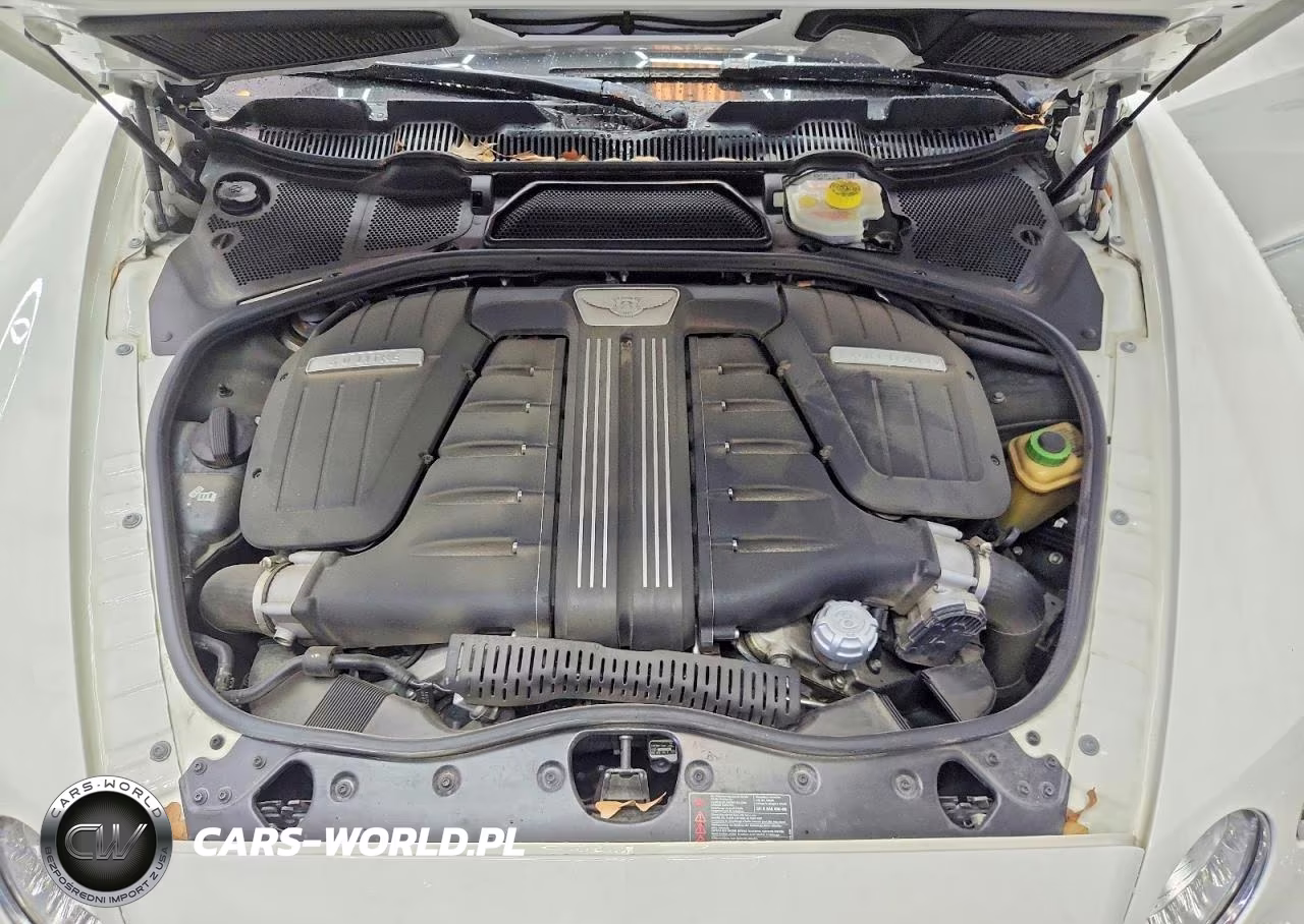 2014 Bentley Continental Gt Speed VIN:SCBFC7ZA6EC087255 - 11