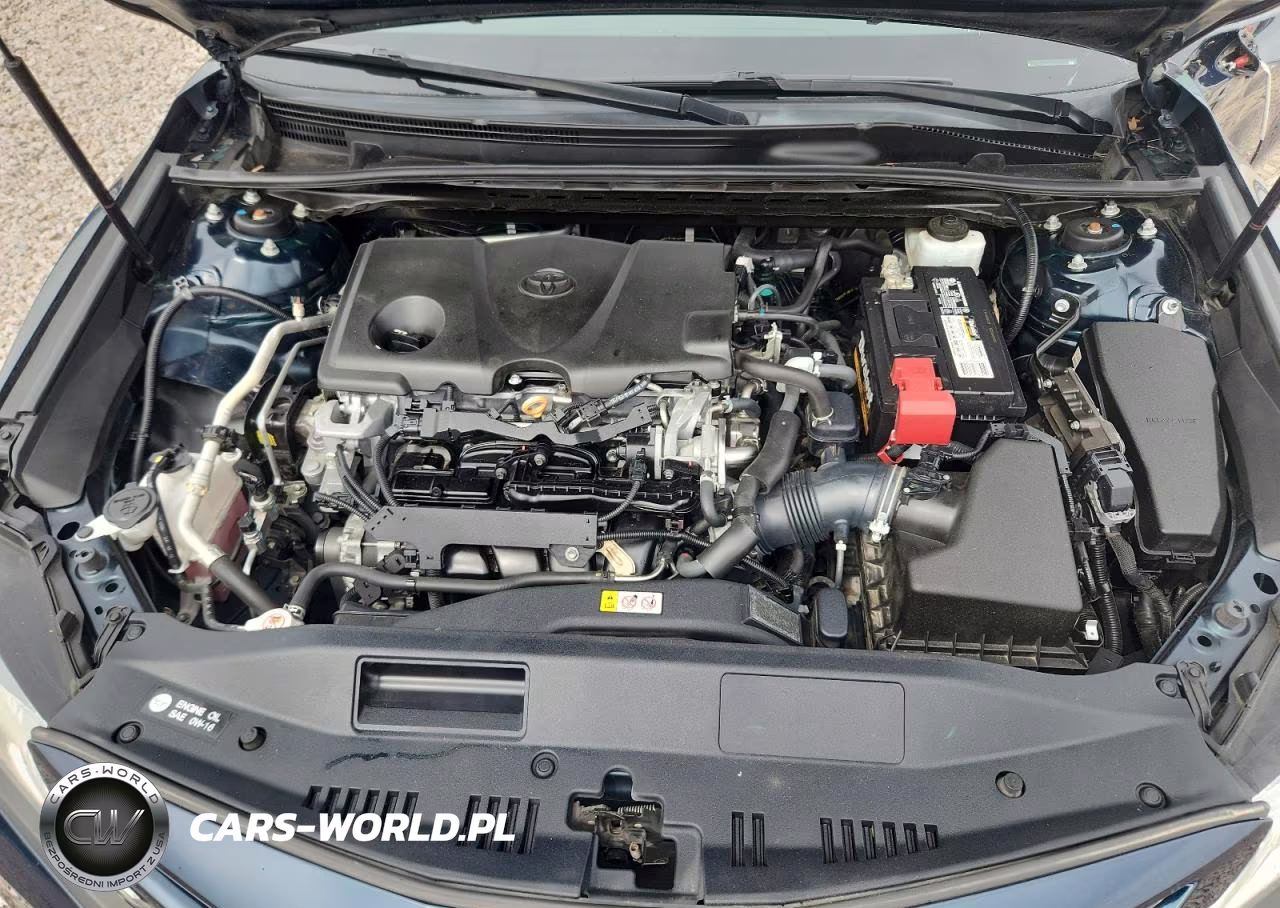 2019 Toyota Camry Se VIN:4T1B11HKXKU816576 - 11